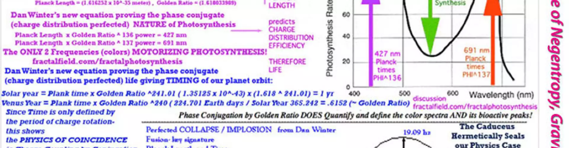 Fractal Field Physics - Online Class by Dan Winter