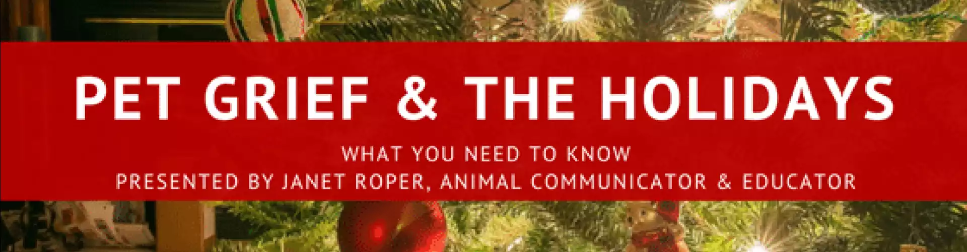 Grieving Your Pet Over the Holidays - Online Class by Janet Roper