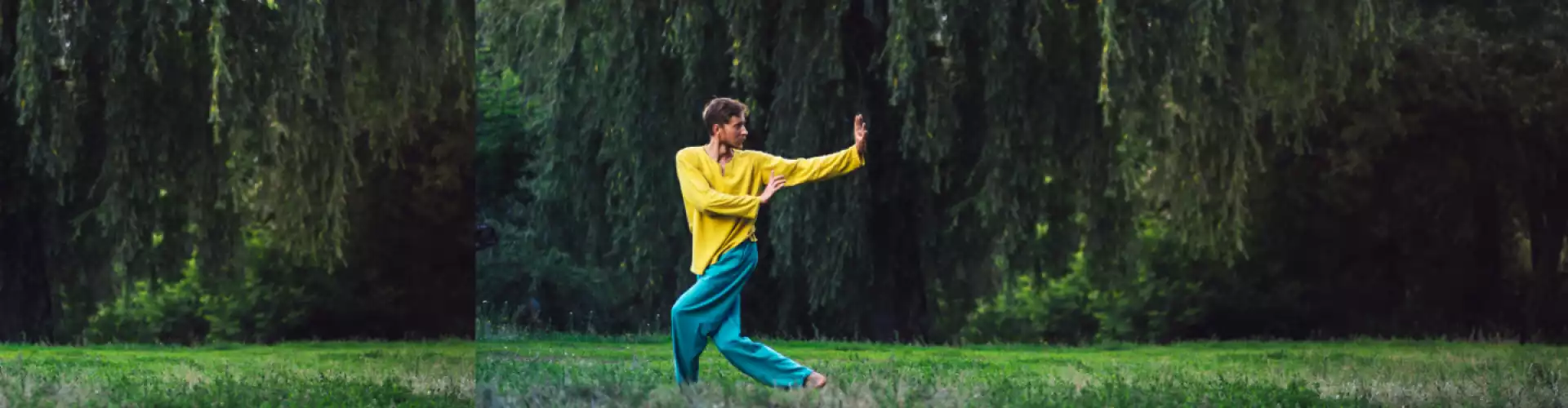 نرم Qigong