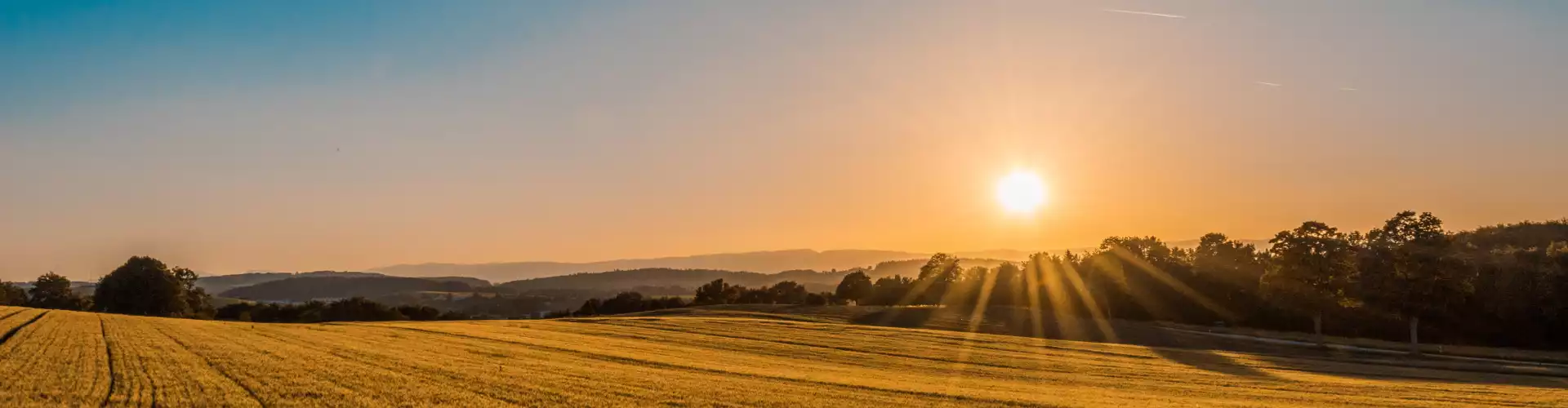 Bundle: Salutations au soleil du matin aux 7 chakras - Online Course by Learn It Live