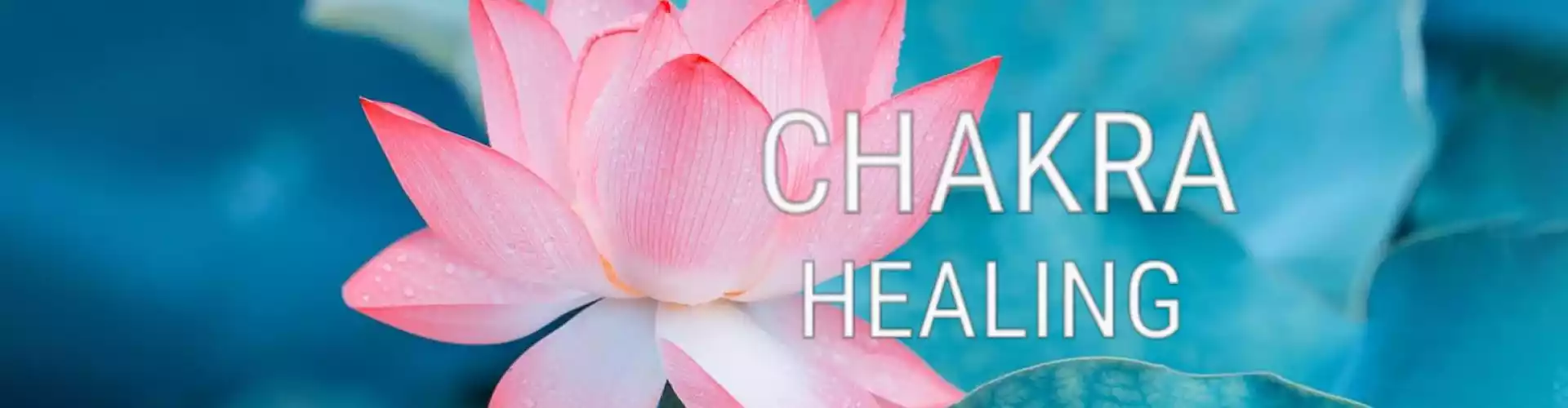 Bundle: Healing your Chakras Series Και οι 8 τάξεις - Online Course by Learn It Live