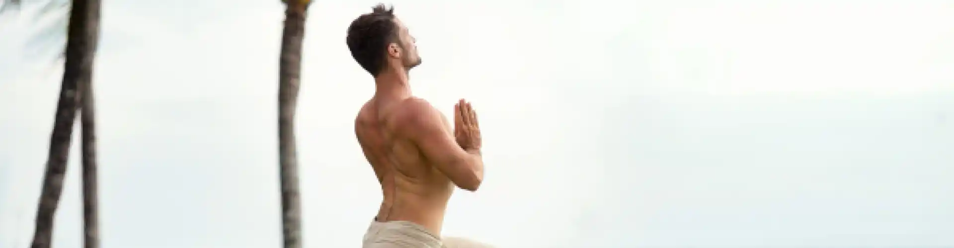 Ενότητα 10 (Ανατομία) - 200 HR Yoga Teacher Training - Online Class by The American Yoga Academy