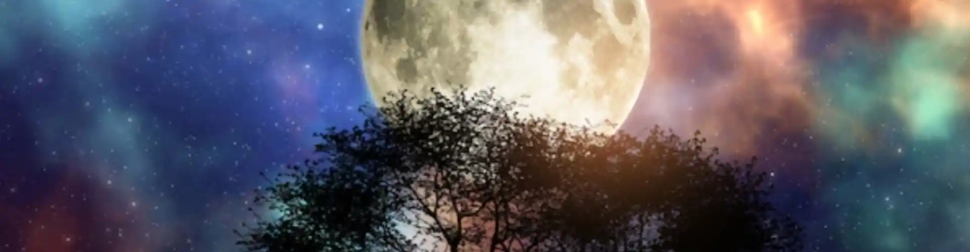 Full Moon 12 Chakra Meditation - Online Class by Cassaundra Paolini